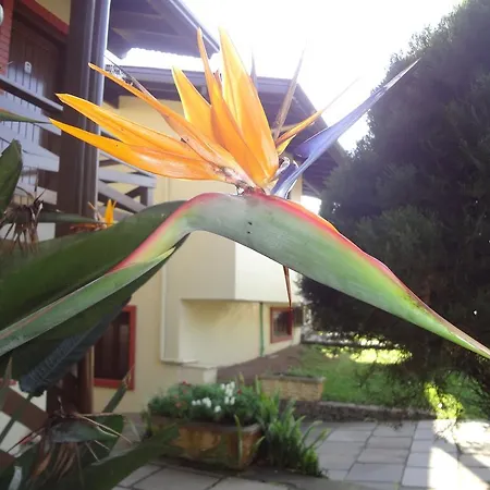 Pousada Floratta Nossa Casa-2